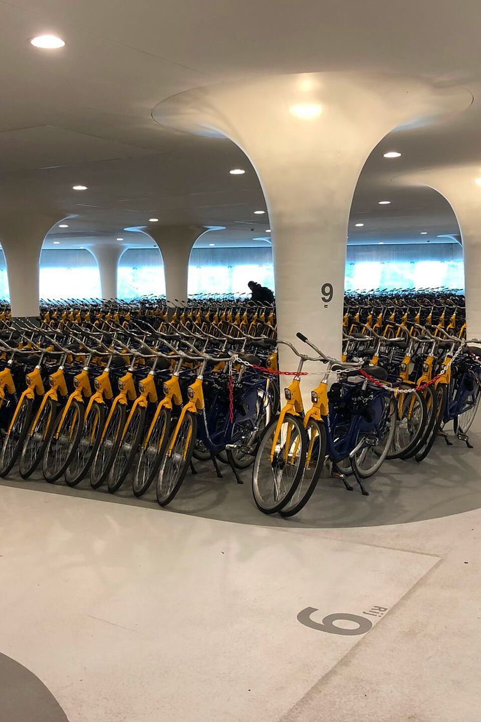 Öffentliche Leihräder in Utrecht  Öffentliche Leihräder in Utrecht