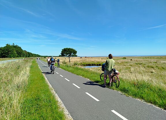 Radweg auf der Insel Laesoe